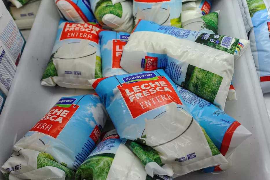 Imagen de El Poder Ejecutivo ajustó el precio de la leche fresca: sube 2,3% desde esta semana