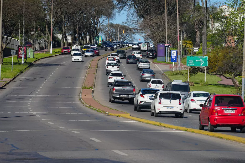 Imagen de Intendentes acuerdan bajar a la mitad el precio de las multas: en qué casos y cómo acceder